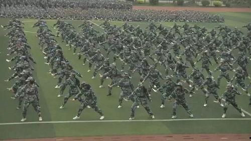 最新军训爆料新闻视频,揭秘严酷训练背后的青春故事